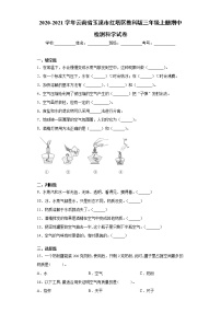 2020-2021学年云南省玉溪市红塔区小学教科版三年级上册期中检测科学试卷（word版 含答案）