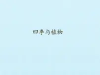 小学科学大象版 (2017)二年级下册3 四季与植物课前预习课件ppt