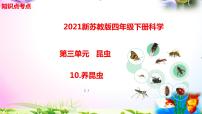 小学科学苏教版 (2017)四年级下册10 养昆虫精品复习ppt课件