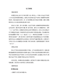 教科版 (2017)五年级上册5.认识棱镜教案