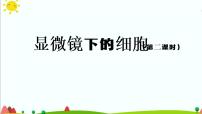 小学科学人教鄂教版 (2017)五年级上册9 显微镜下的细胞教学ppt课件