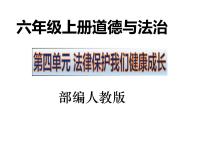 人教部编版六年级上册(道德与法治)8 我们受特殊保护教学课件ppt