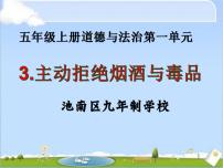 小学政治思品人教部编版五年级上册(道德与法治)3 主动拒绝烟酒与毒品教学课件ppt