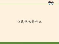 小学政治思品人教部编版六年级上册(道德与法治)3 公民意味着什么教案配套课件ppt