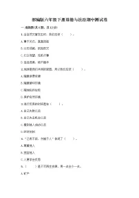 部编版六年级下册道德与法治期中测试卷