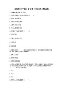 统编版六年级下册道德与法治期末测试卷（word版，含答案） (4)
