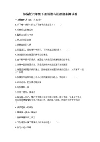 部编版六年级下册道德与法治期末测试卷及参考答案（巩固）