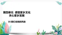 政治 (道德与法治)四年级下册10 我们当地的风俗 授课ppt课件