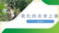 人教部编版四年级下册第三单元 美好生活哪里来7 我们的衣食之源说课课件ppt