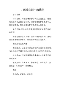 人教部编版六年级上册1 感受生活中的法律教案设计