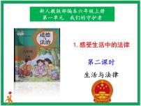 小学政治 (道德与法治)人教部编版六年级上册1 感受生活中的法律授课ppt课件