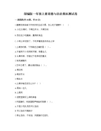 期末测试卷（试题）部编版道德与法治一年级上册（有答案）