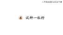 小学政治 (道德与法治)人教部编版二年级下册4 试种一粒籽示范课ppt课件