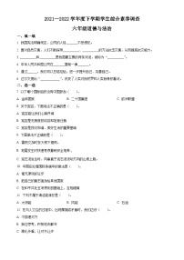 【小升初真题卷】2021-2022学年山东省临沂市平邑县丰阳镇中心校部编版六年级下册期末考试道德与法治试卷（原卷版+解析版）