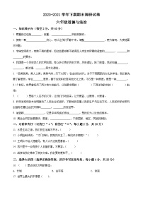 【小升初真题卷】2020-2021学年河南省卫辉市部编版六年级下册期末调研道德与法治试卷（原卷版+解析版）