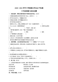 【小升初真题卷】2020-2021学年河南省濮阳市南乐县部编版六年级下册期末考试道德与法治试卷（原卷版+解析版）