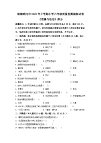 【小升初真题卷】2021-2022学年湖南省邵阳市武冈市部编版六年级下册期末质量检测道德与法治模拟试卷（原卷版+解析版）