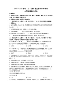 【小升初真题卷】2021-2022学年陕西省咸阳市泾阳县部编版六年级下册期末学生学业水平测试道德与法治试卷（原卷版+解析版）