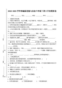 2022-2023学年部编版道德与法治六年级下册小升初模拟卷一（原卷板+解析版）