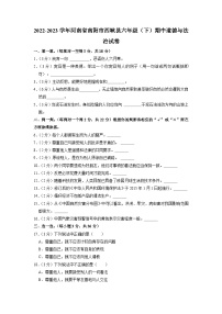 河南省南阳市西峡县2022-2023学年六年级下学期期中道德与法治试卷