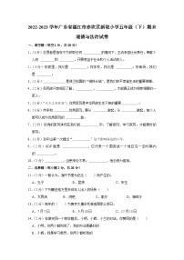 广东省湛江市赤坎区湛江市新坡小学2022-2023学年五年级下学期6月期末道德与法治试题