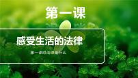 小学政治 (道德与法治)人教部编版六年级上册1 感受生活中的法律授课课件ppt