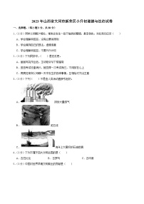 山西省大同市新荣区2023届小升初道德与法治试卷（含解析）