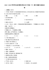 2022-2023学年河北省邯郸市武安市统编版六年级下册期中考试道德与法治试卷（原卷版+解析版）