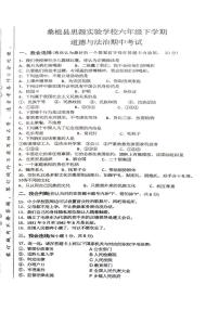 湖南省张家界市桑植县2023-2024学年六年级下学期4月期中道德与法治试题