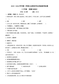 2023-2024学年山东省德州市陵城区统编版六年级下册期中考试道德与法治试卷（原卷版+解析版）