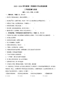 2023-2024学年山东省菏泽市定陶区统编版三年级下册期中考试道德与法治试卷（原卷版+解析版）