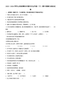 2023-2024学年山东省潍坊市青州市统编版五年级下册期中考试道德与法治试卷（原卷版+解析版）