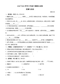 河南省新乡市辉县市2022-2023学年统编版六年级下册期末考试道德与法治试卷（原卷版+解析版）