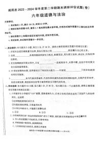 陕西省汉中市城固县2023-2024学年六年级下学期期末道德与法治试卷