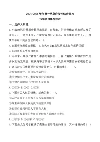 山东省滨州市惠民县2024-2025学年六年级上学期11月期中道德与法治试题
