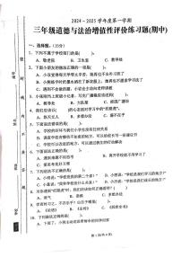 广东省汕尾市陆丰市2024-2025学年三年级上学期期中道德与法治试卷