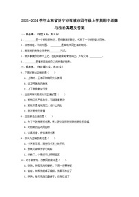 2023-2024学年山东省济宁市邹城市四年级上学期期中道德与法治真题及答案