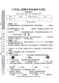 江西省宜春市丰城市2024-2025学年六年级上学期期末综合(科学 道德与法治)试卷