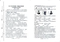 山东省潍坊市2024-2025学年五年级上学期期末道德与法治试卷