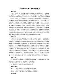 统编版（2024）二年级下册8 安全地玩第1课时教案