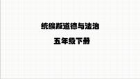 小学政治 (道德与法治)统编版（2024）五年级下册5 建立良好的公共秩序教学ppt课件