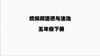 小学政治 (道德与法治)统编版（2024）五年级下册5 建立良好的公共秩序教学ppt课件