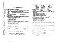 陕西省榆林市榆阳区2024-2025学年三年级下道德与法治期中试卷