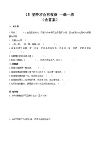 小学政治 (道德与法治)统编版（2024）二年级下册坚持才会有收获课后作业题