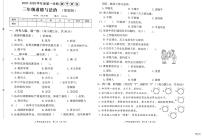 河北省邢台市信都区培训学校2025-2026学年三年级上学期11月期中道德与法治试题