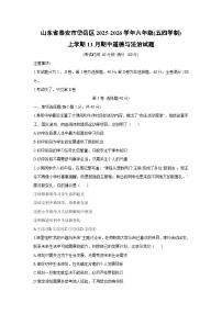 2025-2026学年山东省泰安市岱岳区六年级（五四学制）上学期11月期中道德与法治试卷（学生版）
