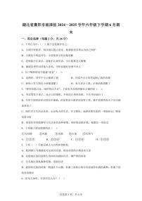 【统编版】2024~2025学年湖北省襄阳市南漳县六年级下学期期末考试道德与法治试题【含答案】