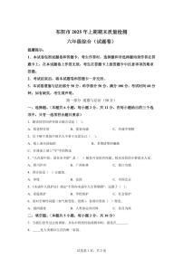 【统编版】2024~2025学年湖南省永州市祁阳市六年级下学期期末考试道德与法治试题【含答案】