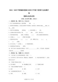 【统编版】2024~2025学年六年级下学期期中达标模拟测评道德与法治试题（二）【含答案】