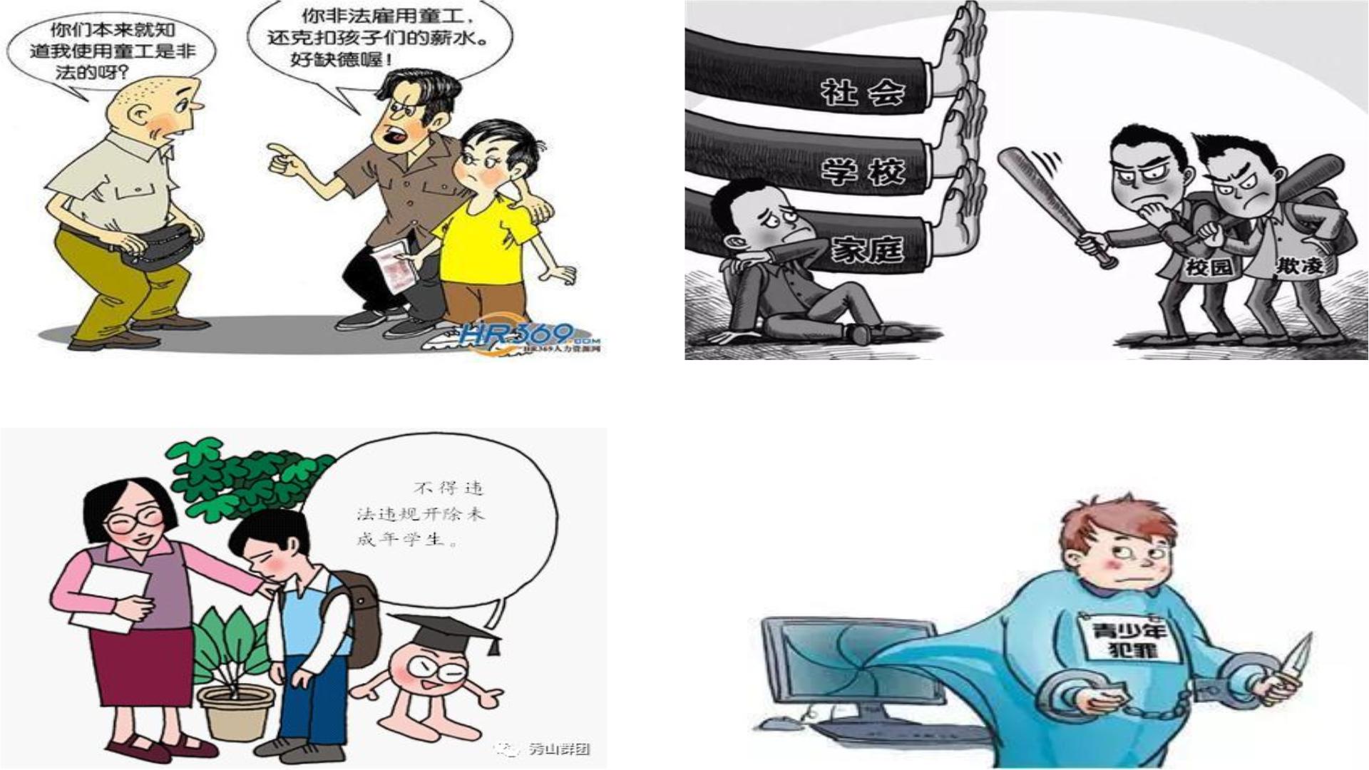 知法守法,依法维权教案-教习网